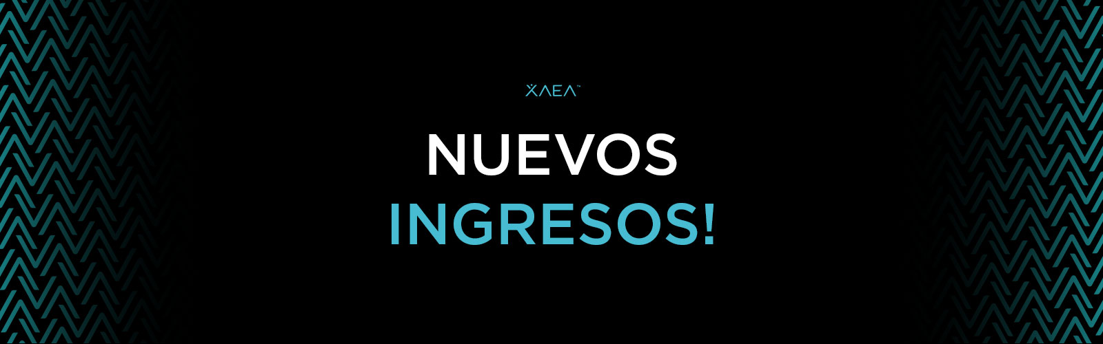Ingresos